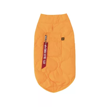 Dog Gear