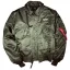 CWU 45 - sage green