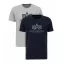 Basic T 2 Pak - greyheather/replica blue