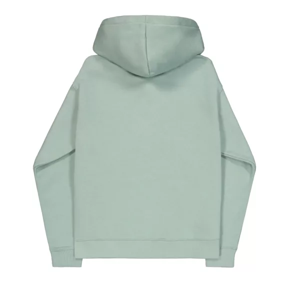 Basic Zip Hoody SL - frost green