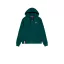 Basic Zip Hoody SL - force green