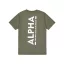 Backprint T - dark olive