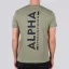 Backprint T - olive/black