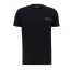 Holographic SL T - black