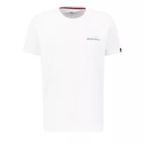 Holographic SL T - white