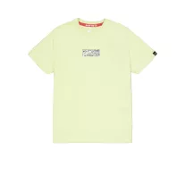 Metal Plate T - arctic lime