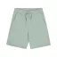 Basic Small Logo II Short - frost green