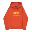 Basic Hoody - iron red