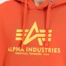 Basic Hoody - iron red Basic Hoody - iron red