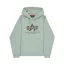 Basic Big Logo Effect Print Hoodie - frost green