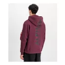 Back Print Hoodie - dark cherry
