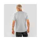 Basic T Small Logo - greyheather
