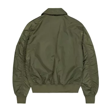 CWU-36/P TT - dark olive