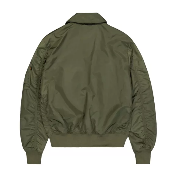CWU-36/P TT - dark olive