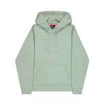 DTM Alpha Hoodie - frost green