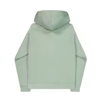 DTM Alpha Hoodie - frost green