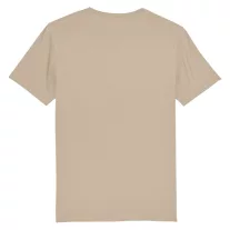 Pilot T - desert